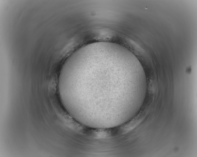 X0000092000370200709131519