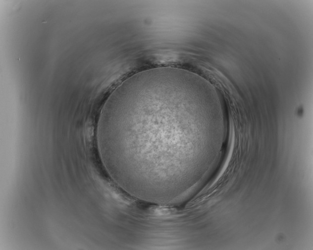 X0000092000372200709131519