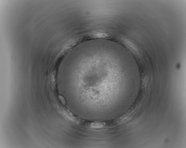 X0000092000373200709131519