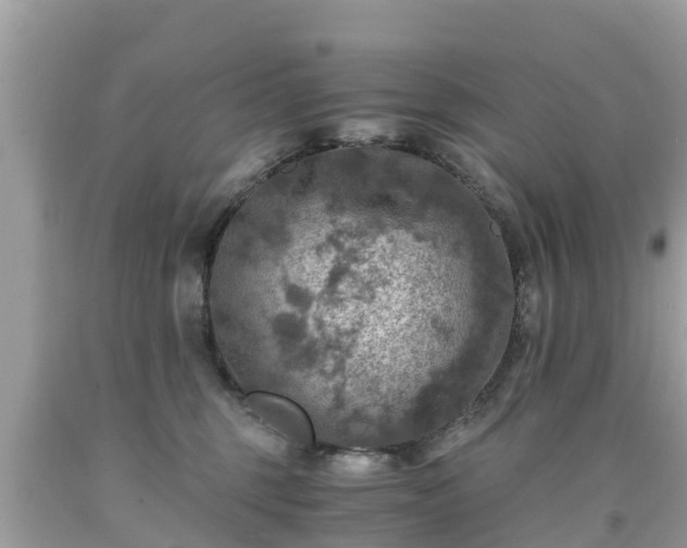 X0000092000375200709131519