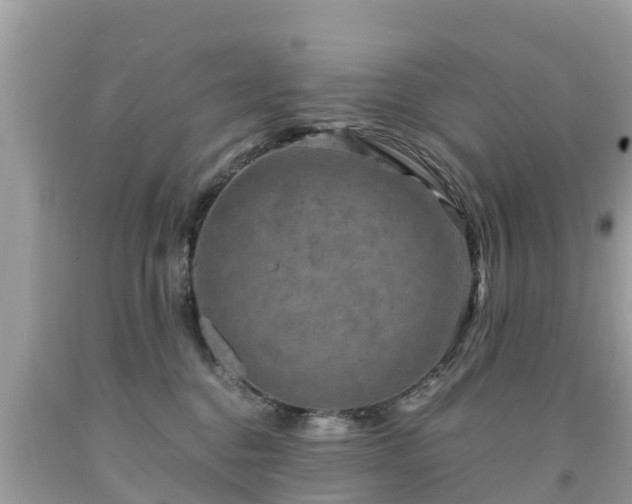 X0000092000376200709131519