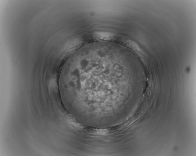 X0000092000377200709131519