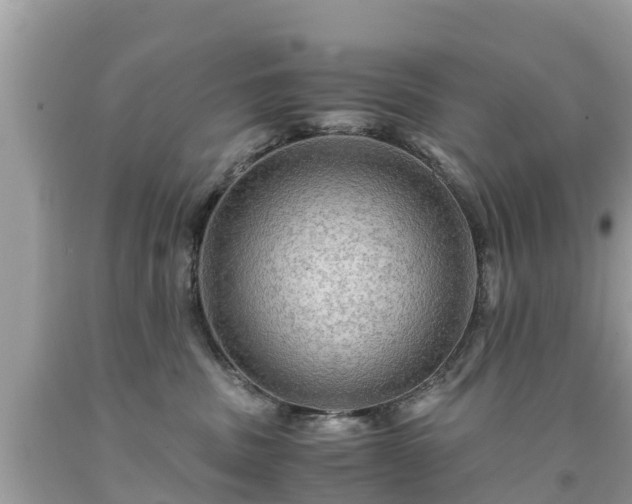 X0000092000379200709131519