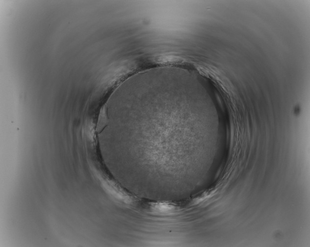 X0000092000380200709131519