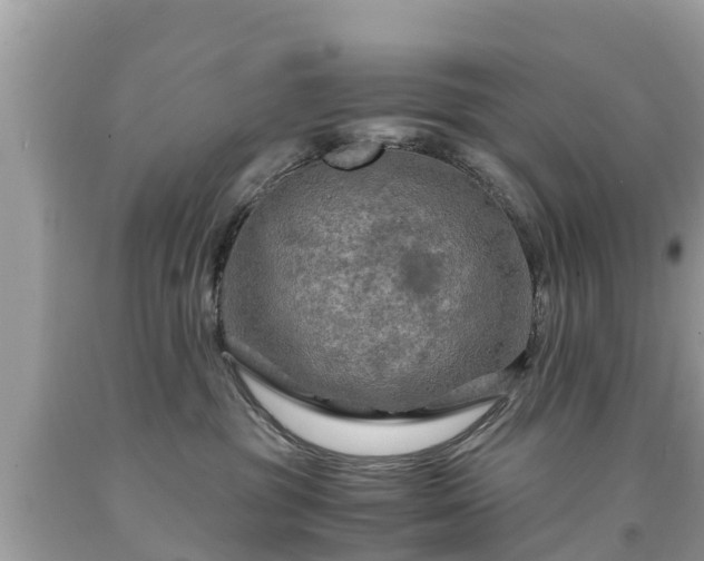 X0000092000381200709131519