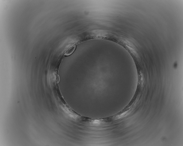 X0000092000382200709131519