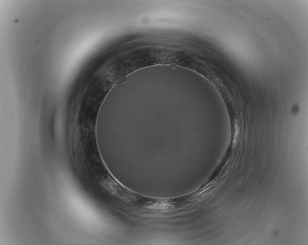 X0000092000383200709131519