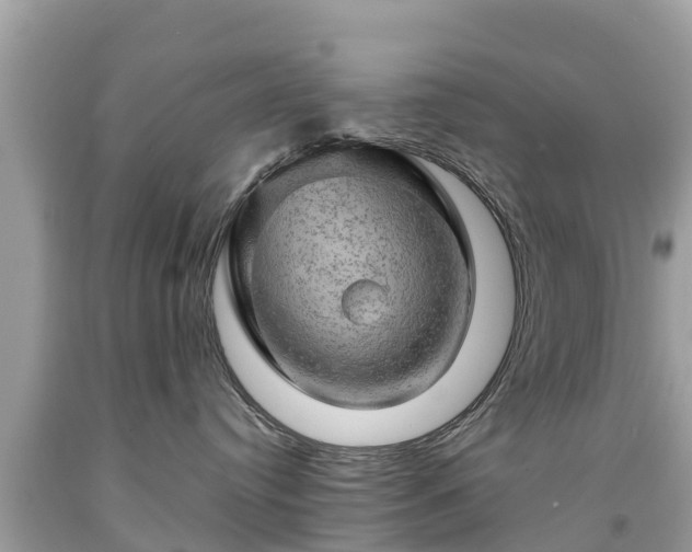 X0000092000384200709131519