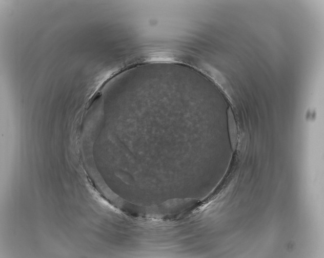 X0000092000385200709131518