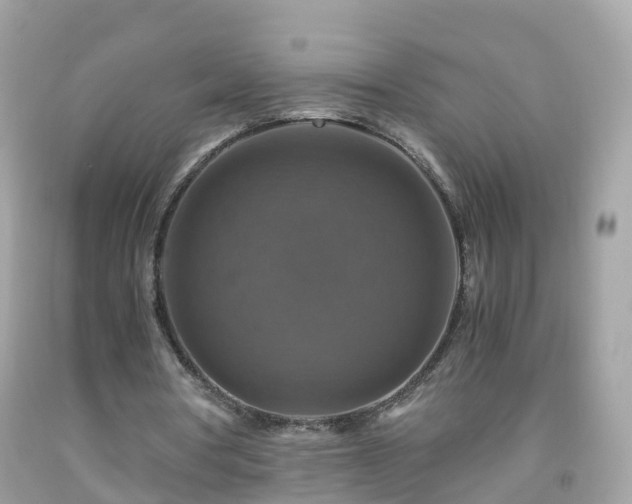 X0000092000386200709131518