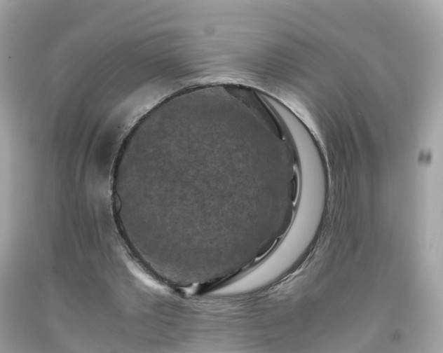 X0000092000389200709131518