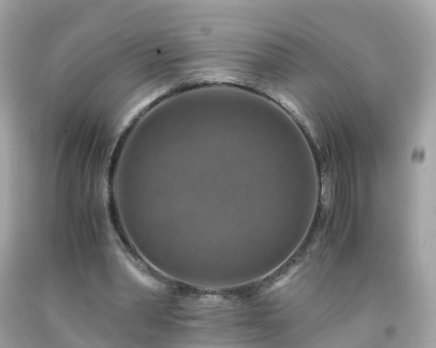 X0000092000390200709131518