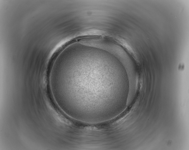 X0000092000392200709131518