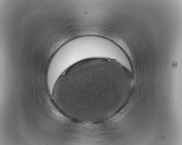 X0000092000393200709131518