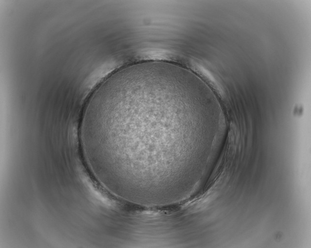 X0000092000394200709131518