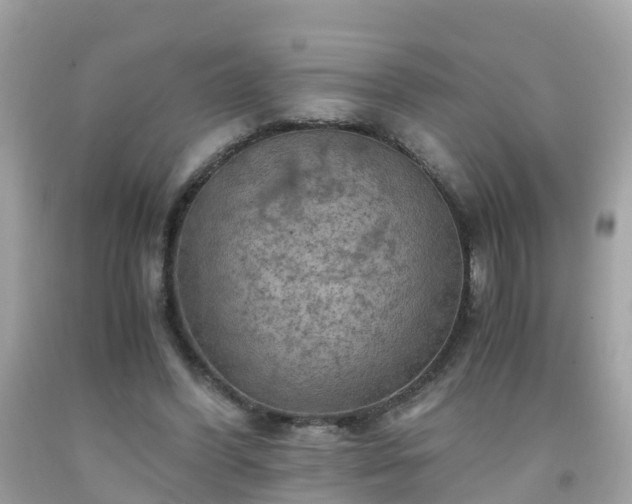 X0000092000396200709131518