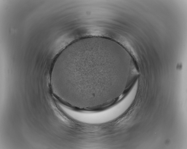 X0000092000397200709131518