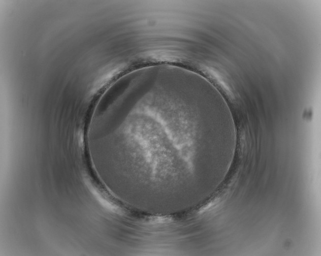 X0000092000398200709131518