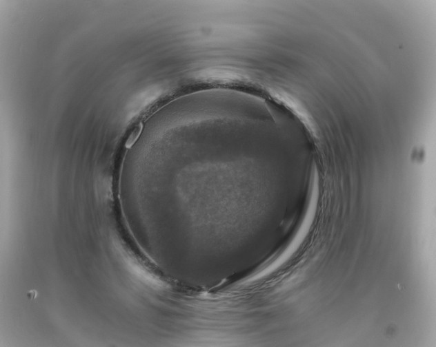 X0000092000399200709131518