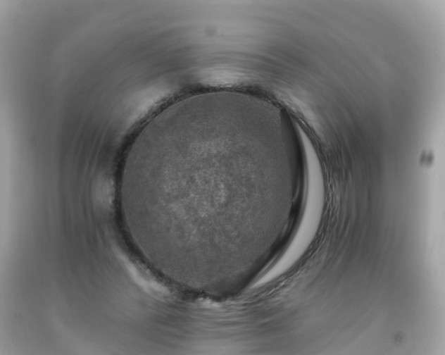 X0000092000400200709131518