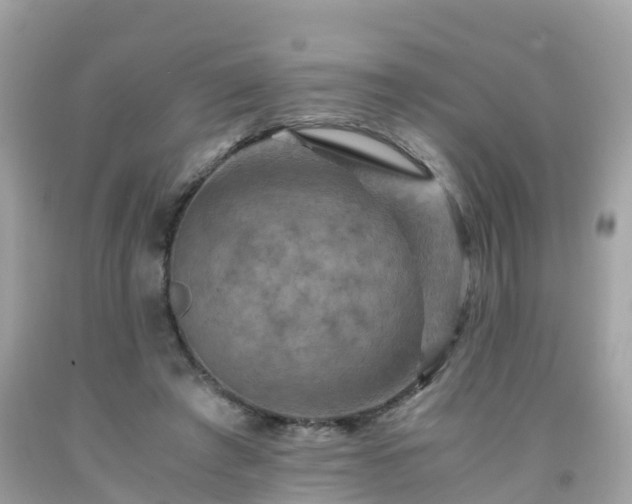 X0000092000401200709131518