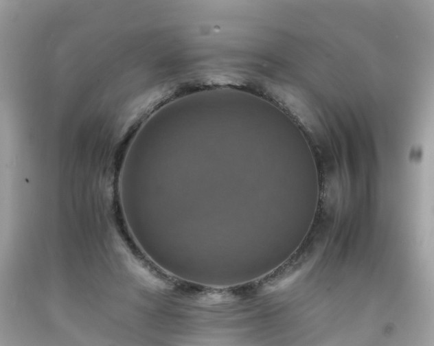 X0000092000402200709131518