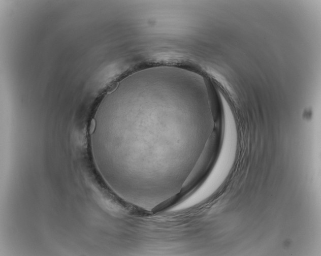 X0000092000403200709131518