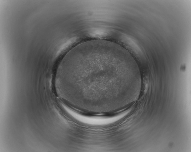 X0000092000404200709131518