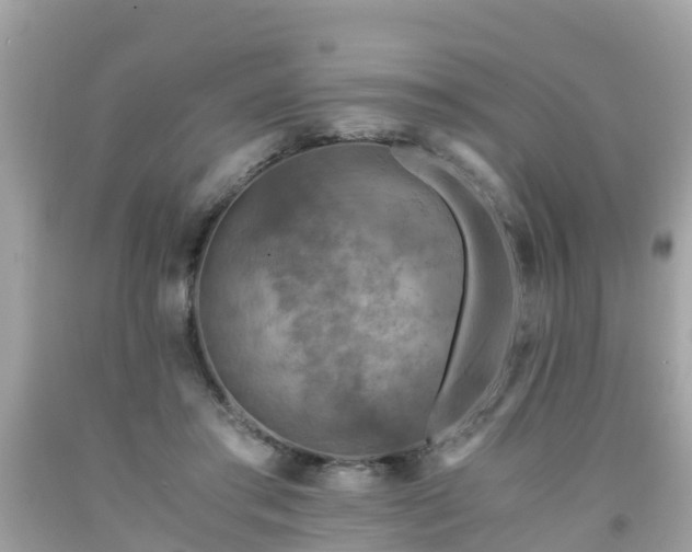 X0000092000405200709131518