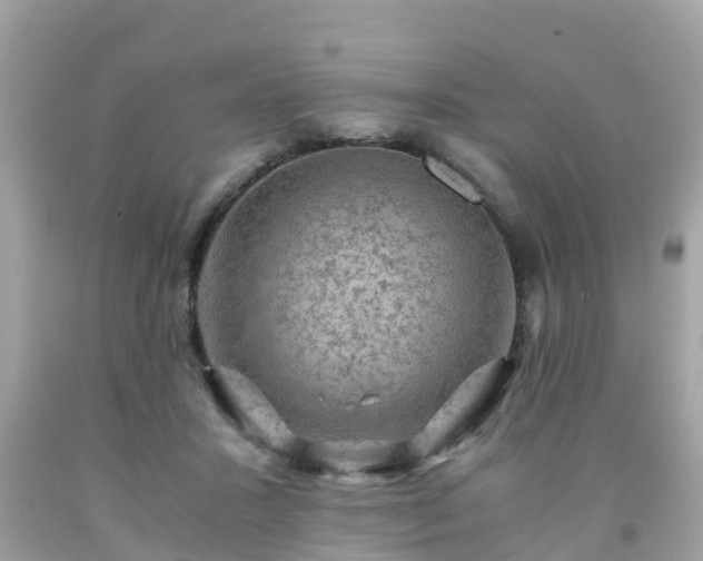 X0000092000407200709131518