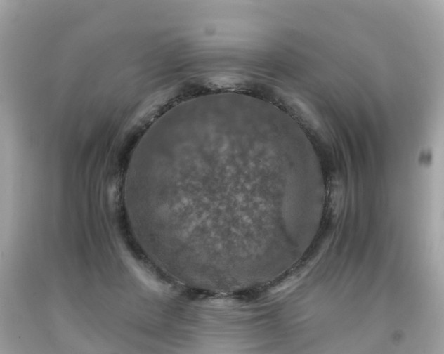 X0000092000408200709131518