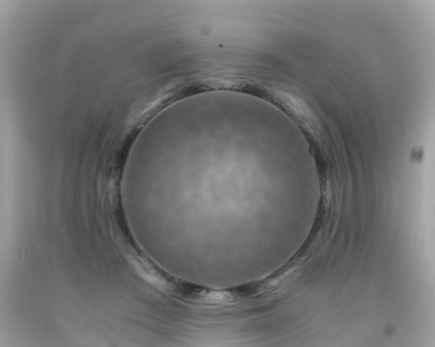 X0000092000409200709131518