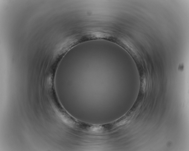 X0000092000410200709131518