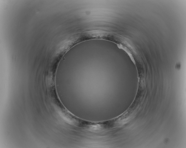 X0000092000411200709131518