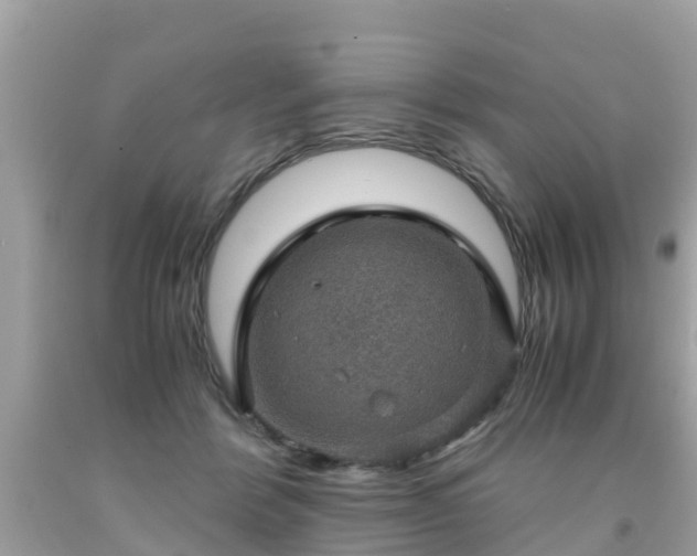 X0000092000412200709131518