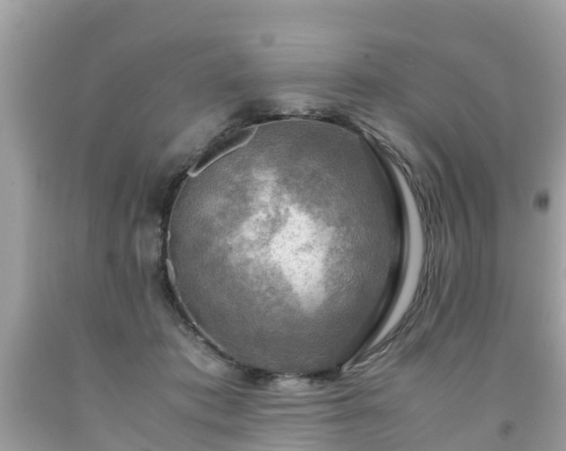 X0000092000413200709131518