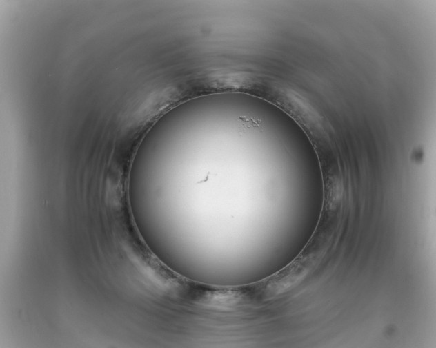 X0000092000414200709131518