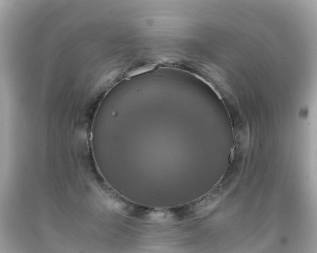 X0000092000415200709131518