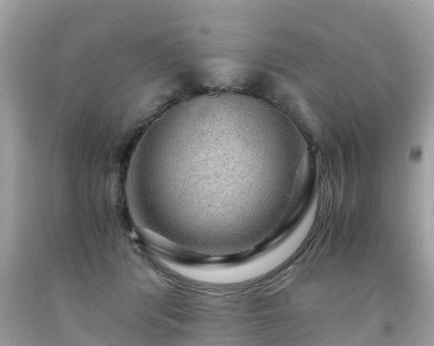 X0000092000416200709131518