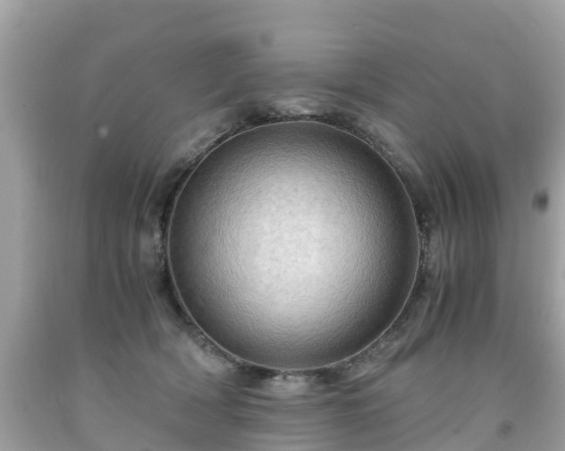 X0000092000418200709131518