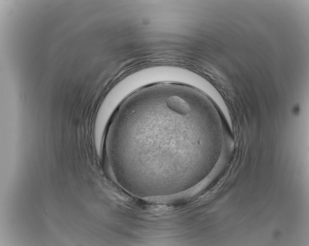 X0000092000421200709131518