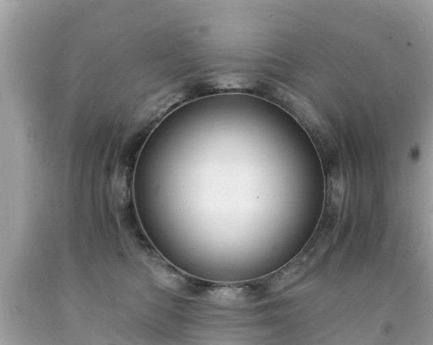 X0000092000422200709131518