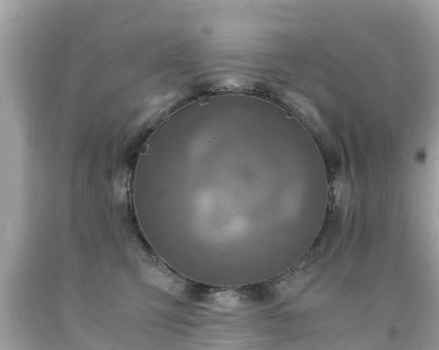 X0000092000423200709131518