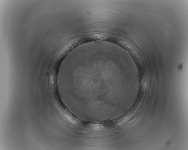 X0000092000424200709131518