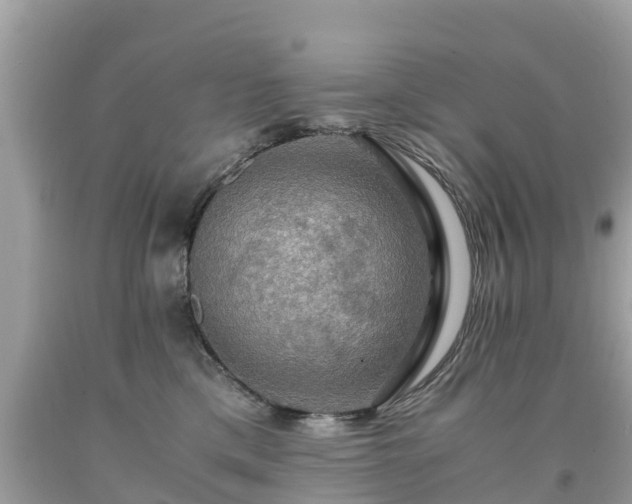 X0000092000425200709131518