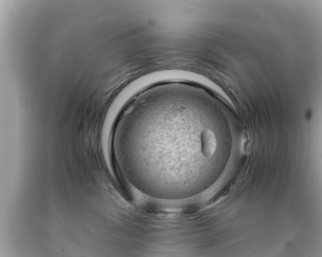 X0000092000428200709131518