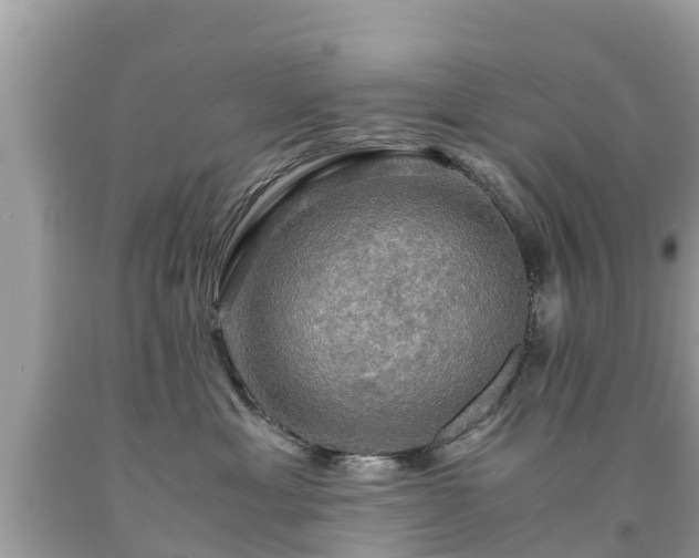 X0000092000429200709131518