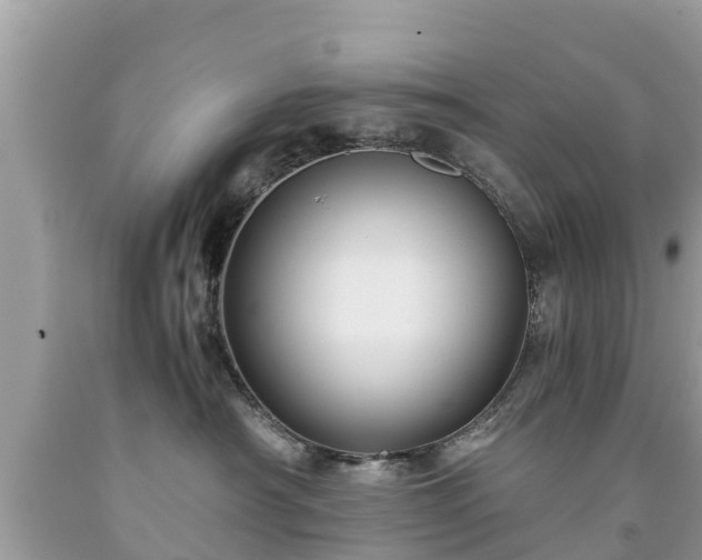 X0000092000430200709131518