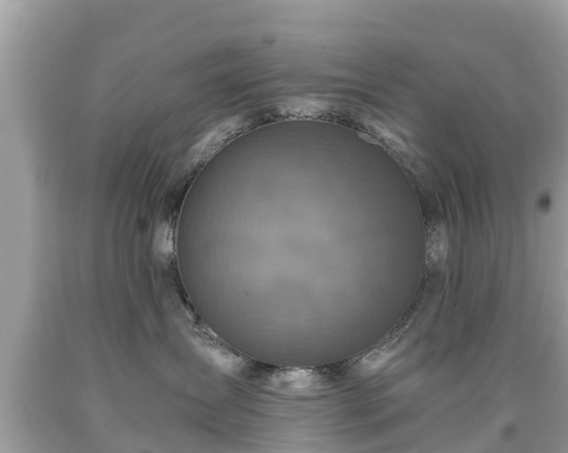 X0000092000431200709131518