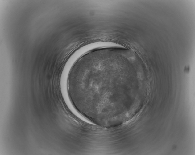 X0000092000432200709131518